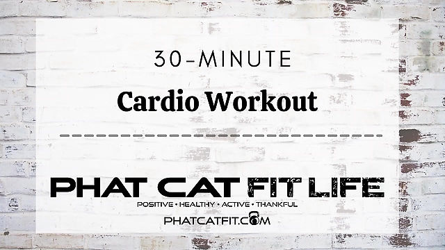 PHAT Cat Fit Life Cardio Workout